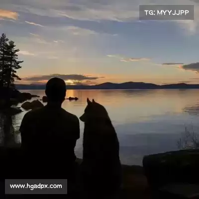 萧琼嘉